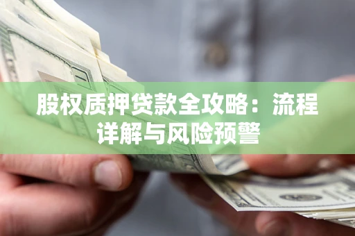 武汉股权质押贷款全攻略：流程详解与风险预警