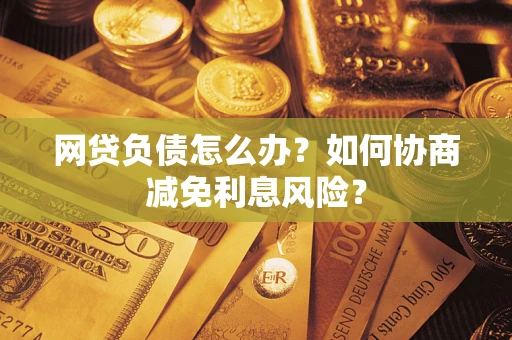 武汉网贷负债怎么办？如何协商减免利息风险？