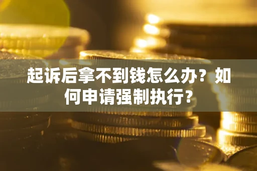 武汉起诉后拿不到钱怎么办？如何申请强制执行？
