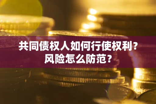 武汉共同债权人如何行使权利？风险怎么防范？