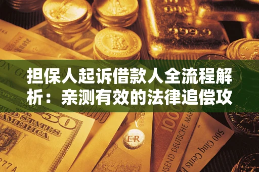 武汉担保人起诉借款人全流程解析：亲测有效的法律追偿攻略