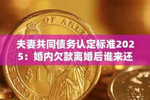 武汉夫妻共同债务认定标准2025：婚内欠款离婚后谁来还？