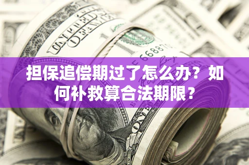 武汉担保追偿期过了怎么办？如何补救算合法期限？