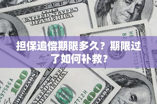 武汉担保追偿期限多久？期限过了如何补救？
