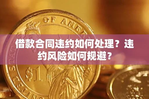 武汉借款合同违约如何处理？违约风险如何规避？