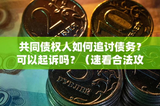 武汉共同债权人如何追讨债务？可以起诉吗？（速看合法攻略）