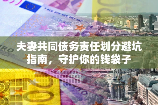 武汉夫妻共同债务责任划分避坑指南，守护你的钱袋子