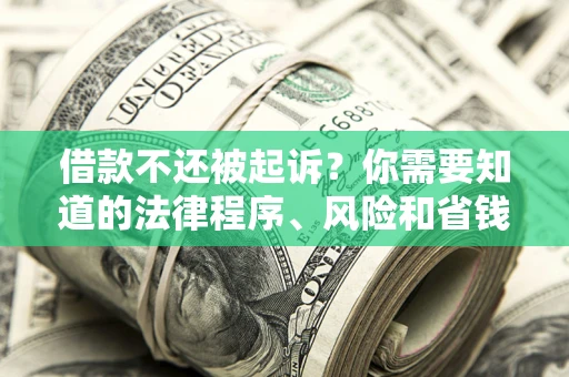 武汉借款不还被起诉？你需要知道的法律程序、风险和省钱技巧