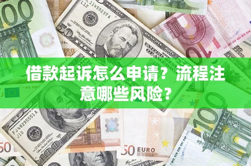 武汉借款起诉怎么申请？流程注意哪些风险？