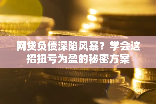 武汉网贷负债深陷风暴？学会这招扭亏为盈的秘密方案